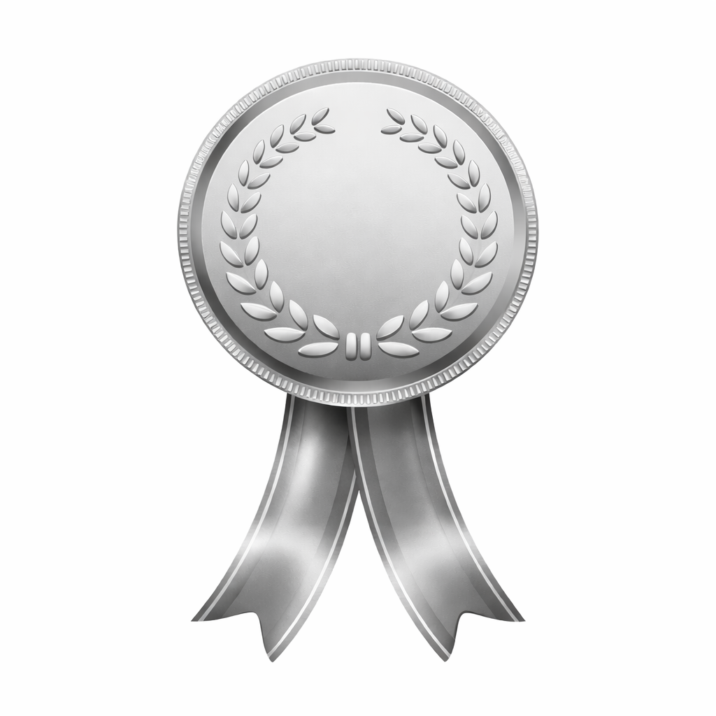 Silver Award