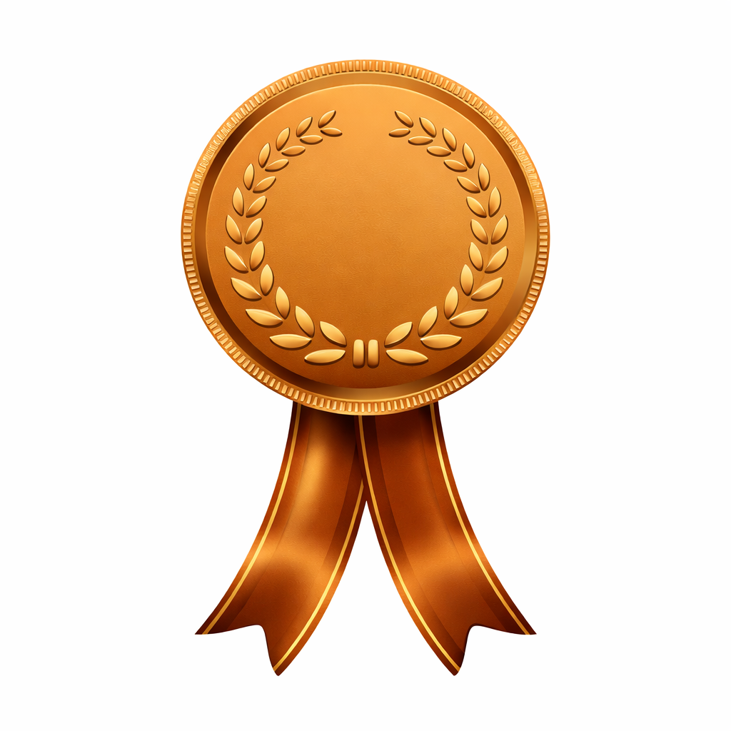 Bronze Award